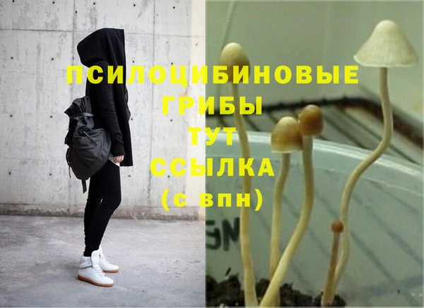 Альфа ПВП Арсеньев