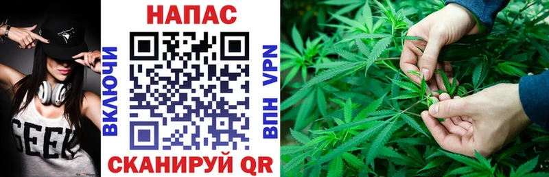 Шишки марихуана Amnesia дарнет шоп Поронайск
